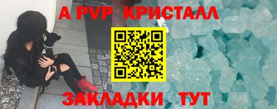 PSILOCYBIN Донской