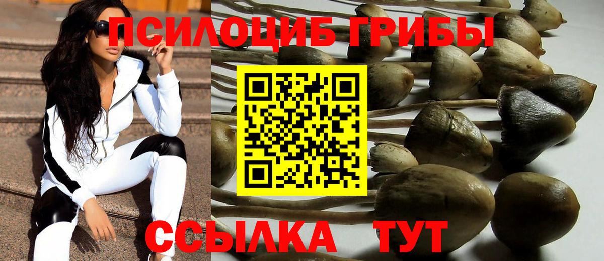 Псилоцибиновые грибы Cubensis Павлово