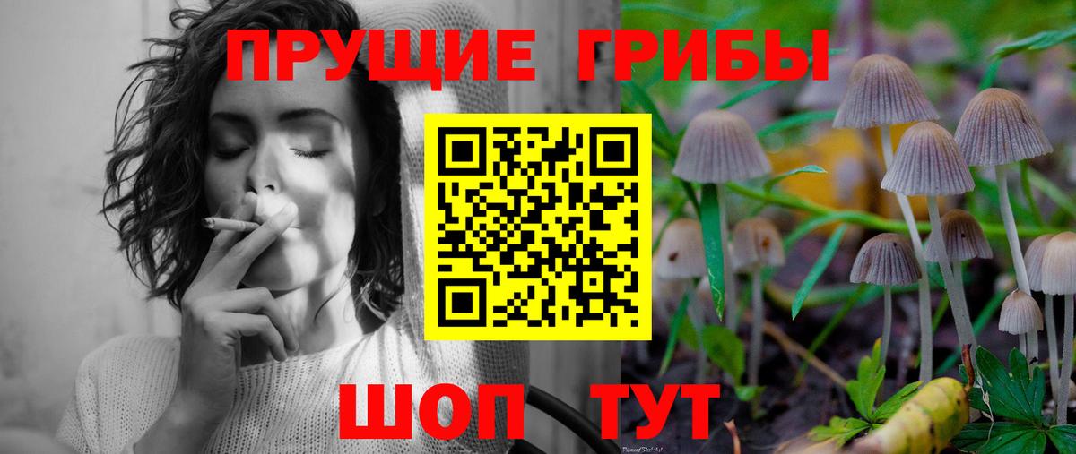 Павлово  Галлюциногенные грибы Cubensis  Вход с VPN 